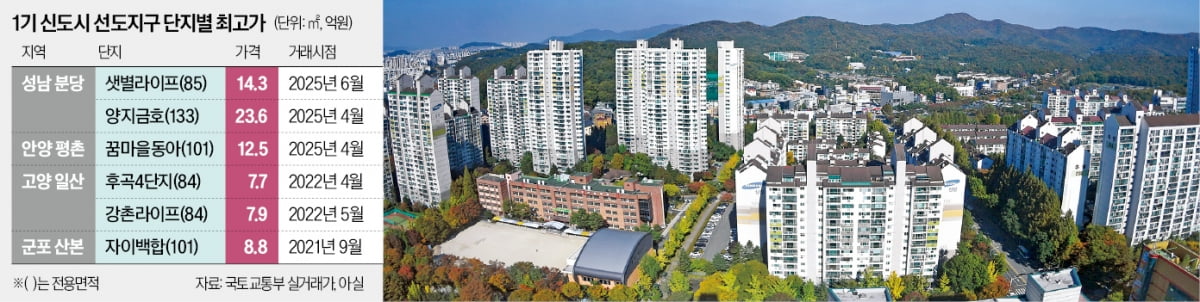 분당 '뛰고' 일산은 '잠잠'…사업성이 가른 선도지구 집값