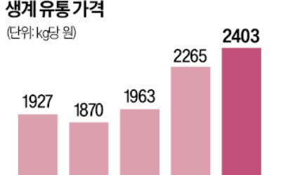 AI 장기화에 닭고기 1년새 30% 올라
