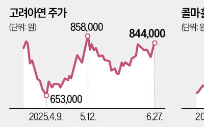고려아연·콜마홀딩스, 경영권 분쟁株 또 들썩