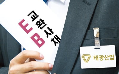 자사주 소각 의무화 앞두고…EB 발행 등 '꼼수' 속출