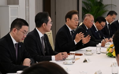李 대통령, 재계총수 간담회…"경제 핵심은 기업…적극 지원"