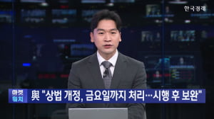 민주당 "상법 개정, 금요일까지 처리...시행후 보완"