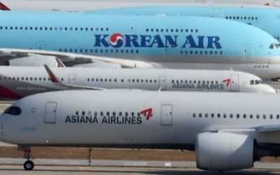 [속보] 공정위, 대한항공 마일리지 통합안 퇴짜…"보완 요청"