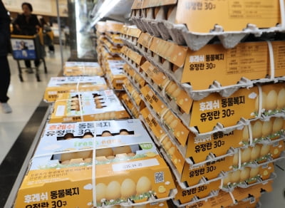 "잘못 본 줄 알았네"...계란 한 판 값에 '깜짝'