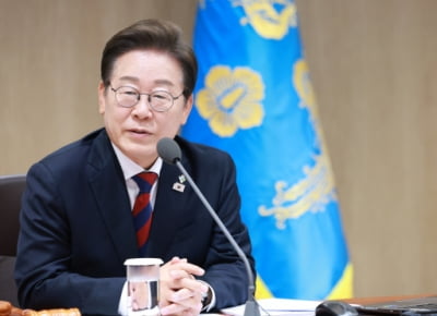'논란의 헌법 84조', 법률 전문 AI에게 물었더니···