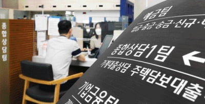 “3단계 DSR로 빚 줄일까” 가계부채 미국·일본보다 두 배
