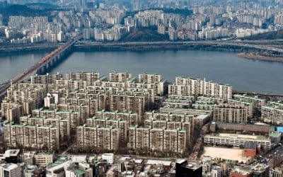 'K부동산' 급기야…지방과 집값 격차 '세계 1위' [강진규의 데이터너머]