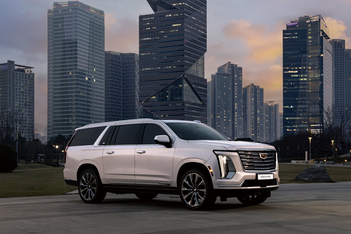 요즘엔 내가 대세 