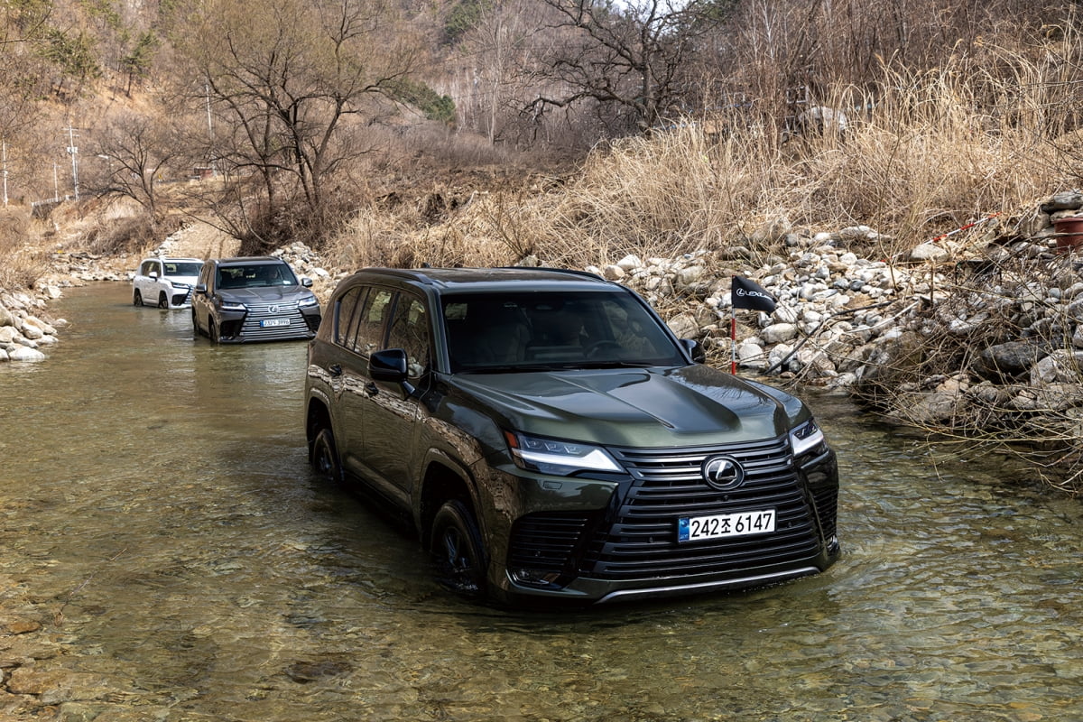 요즘엔 내가 대세 