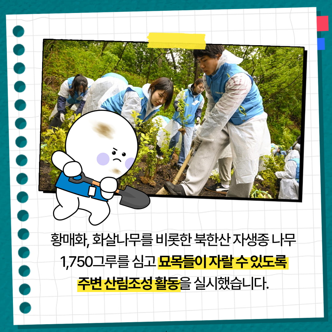 [카드뉴스] KT&G 복지재단, '2025 아름드리 생태복원 봉사활동' 진행