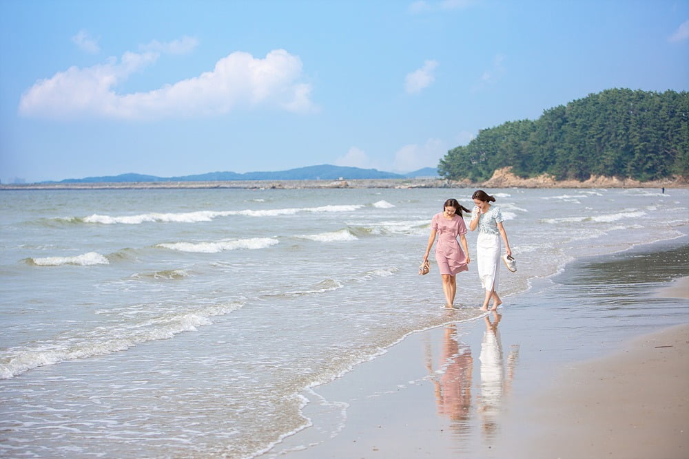 백제왕실 한산소곡주에 겉바속촉 박대정식, 서천으로 여름 피서