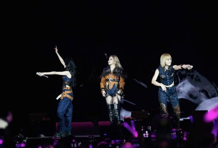 2NE1's Park Bom Absent from Los Angeles Performance, Sparking Curiosity