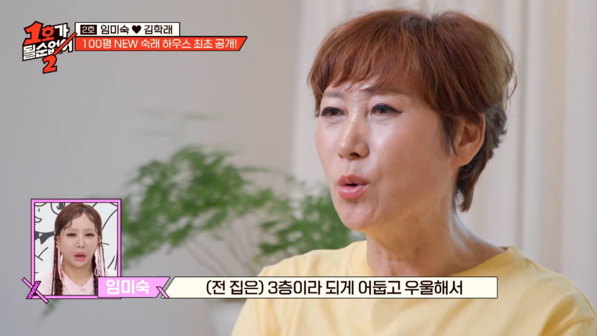 Inside the Lavish Mansion of Korean Power Couple Im Mi-sook and Kim Hak-rae