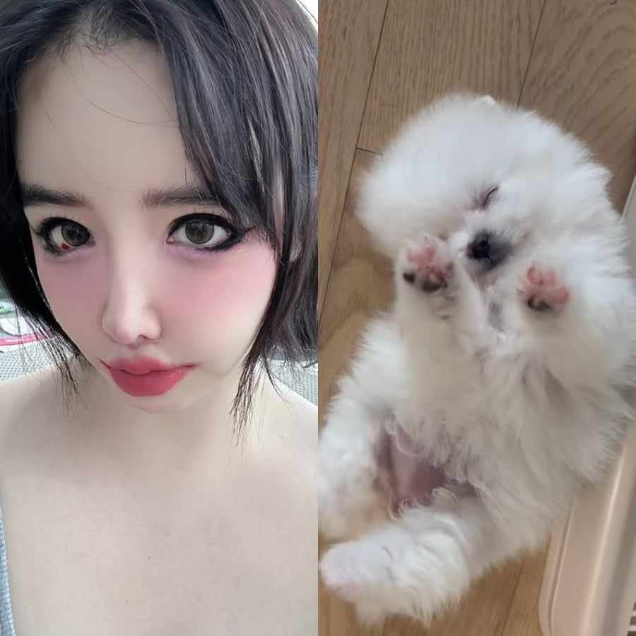 2NE1's Park Bom Introduces New Furry Family Member on Instagram