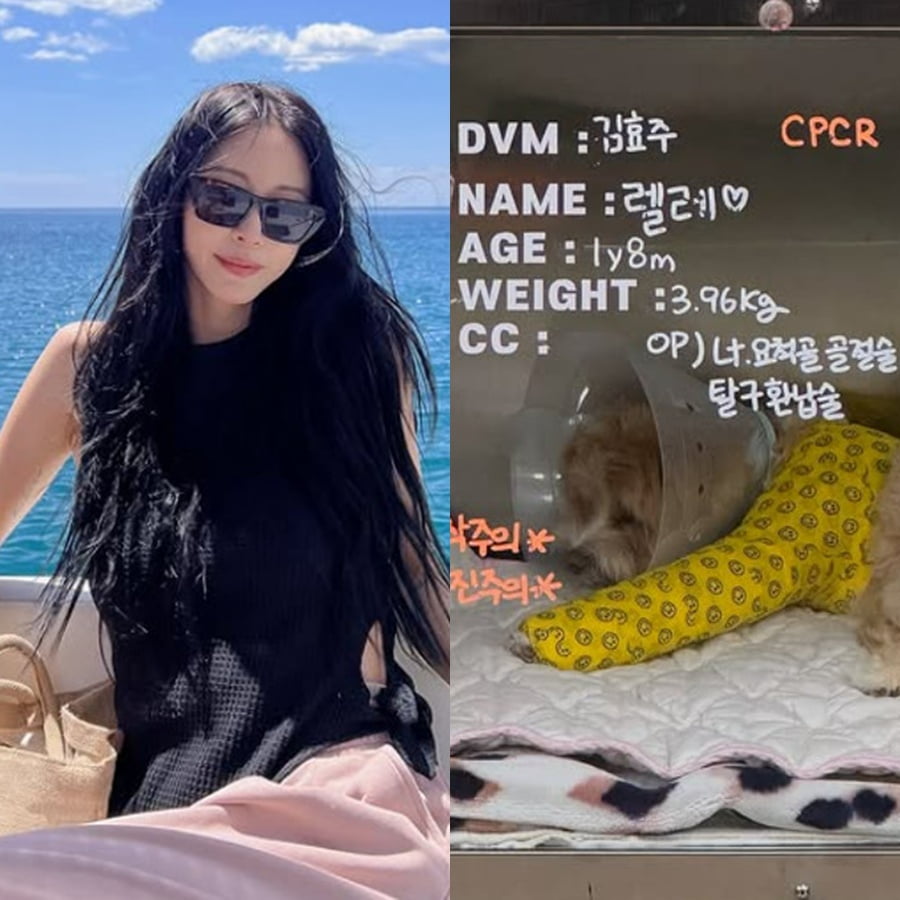 South Korean Actress Han Ye-seul Shares Update on Her Beloved Pet's Recovery