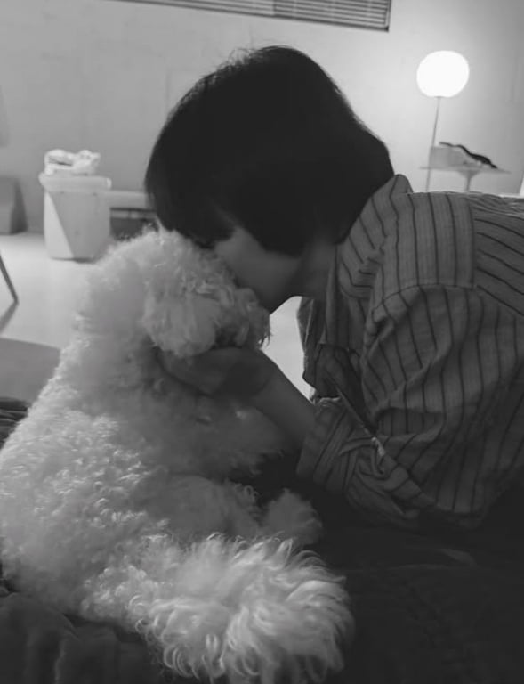 Song Hye-kyo Shares Heartwarming Moments with Her Beloved Dog