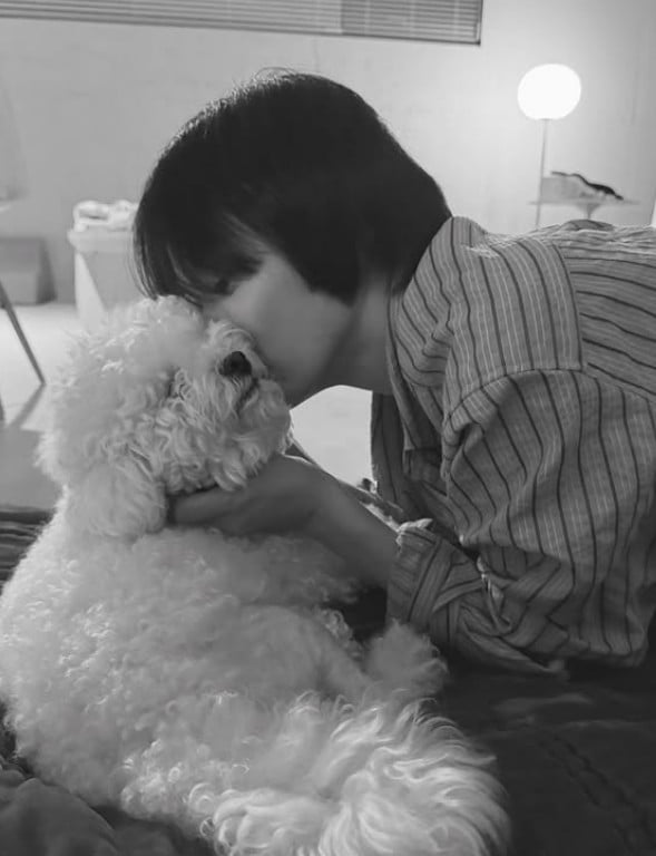 Song Hye-kyo Shares Heartwarming Moments with Her Beloved Dog