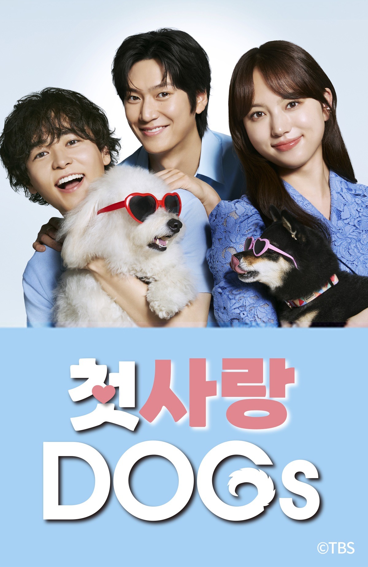 韓日共同制作ドラマ『初恋DOGs』がティビングで独占公開