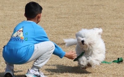 '이럴 거면  키우지 마세요'…당근 '특단의 조치'