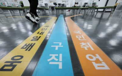 [속보] 5월 취업자 24만5000명↑…13개월 만에 20만명대