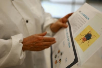 '나사벌레'가 뭐길래…멕시코 방제 항공기 추락에 3명 사망
