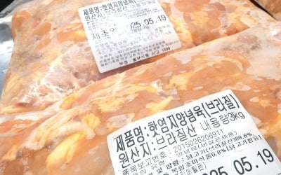 브라질 닭고기 이르면 이달 말 수입 재개 예정