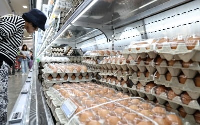 "라면에도 못 넣겠네"…'4년만 최고' 계란값, 8월까지 오른다