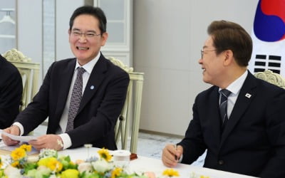 이재용 "대통령 자서전 읽어봤다"…李 "그래요?" 웃음