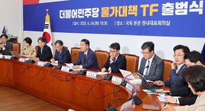與, 물가 TF 출범…"특단 조치 필요…부동산 면밀 주시"