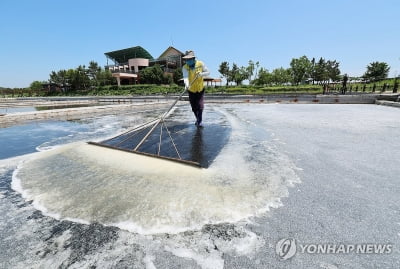 '한낮 최고 33도' 무더위 계속…전국 맑고 오전까지 곳곳 안개