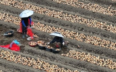 전국 장맛비…20일 새벽 수도권부터 시간당 30∼50㎜ 호우 대비
