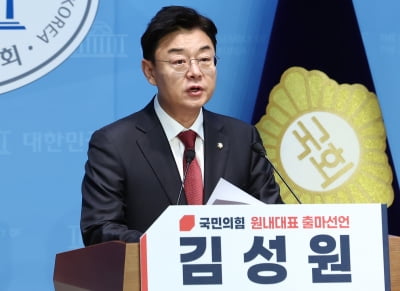김성원 "거대여당 맞서 제대로 싸우겠다"…원내대표 지지 호소