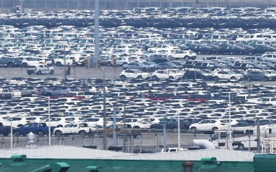 "'150만명 고용' 車산업 위기…신정부, 미래차 지원·노조법 개정 재검토해야"