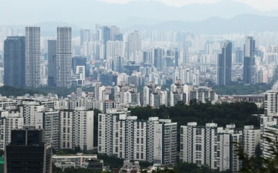 10곳 중 3곳은 입주 30년차…서울 아파트, 신축이 곧 '프리미엄'