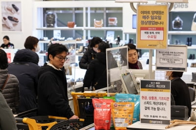 유통주 다시 불기둥…추경 속도전에 '정책수혜주' 재부각 [종목+]