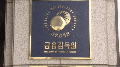 [단독] 금감원 제재심, 마스턴투자운용 '기관경고' 징계…영업정지는 면해