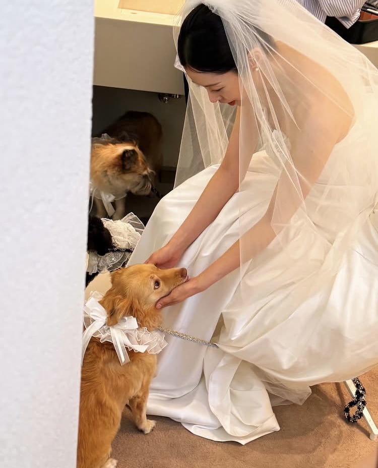Attorney and Broadcaster Seo Dong-joo Shares Heartwarming Wedding with Her Dogs