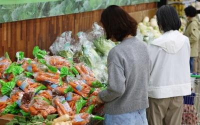 언제는 금(金) 배추라더니…25% 떨어진 이유가