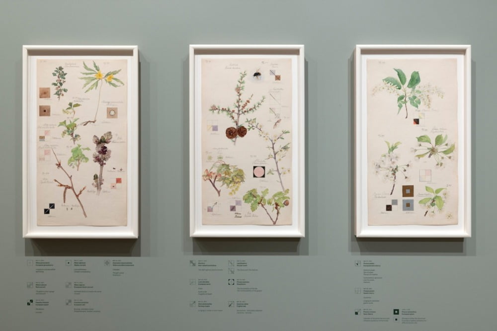 '꽃의 이면엔 무엇이 있는가' 전시 전경 / 사진. ⓒRobert Gerhardt, MoMA