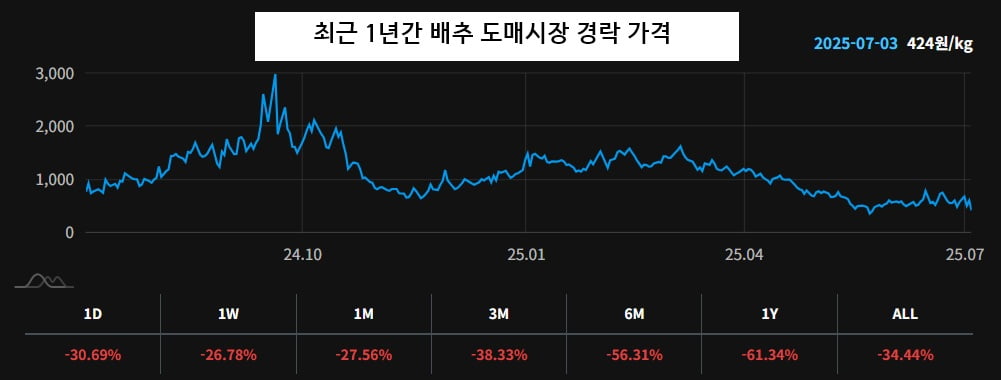 “배추값 무값이 작년 절반이라는데 이거 실화냐”