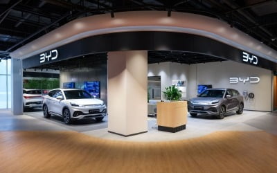 BYD 전기차가 스타필드마켓 킨텍스에 들어왔다