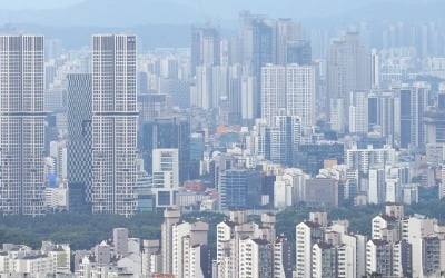 대출규제 약발 시작됐나…서울 거래량·거래금액 65% 급감