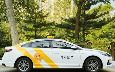 "승차 거부는 옛말"…'6초' 만에 잡히는 택시, 알고보니