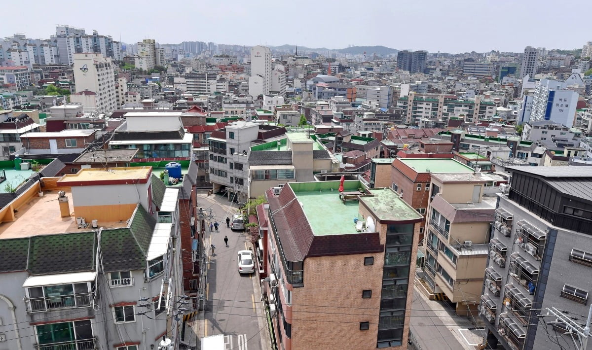 서울 양천구 목4동 정목초교 인근 노후 주택 지역.