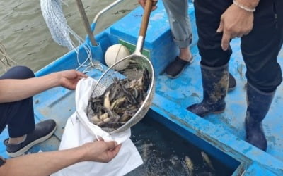 '北 우라늄 폐수 괜찮나' 커지는 우려…전수조사 결과 봤더니