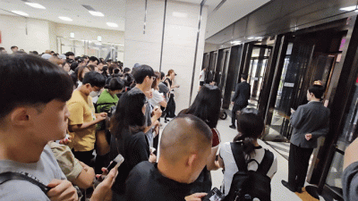 "줄봐, 미쳤나봐"…수백명 몰린 돈키호테 팝업 '난장판' [현장+]