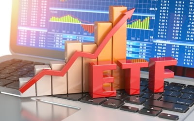 "따박따박 비과세라더니"...국내주식 커버드콜 ETF, 15년간 과세 오류
