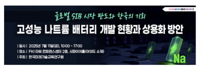 "나트륨 배터리 양산기업 중국 82개, 한국 1개...CATL 올해 양산인데 배터리 3사 모두 양산은 몇년뒤"