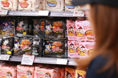 '붉닭신화' 삼양식품, 소스회사 지앤에프 인수