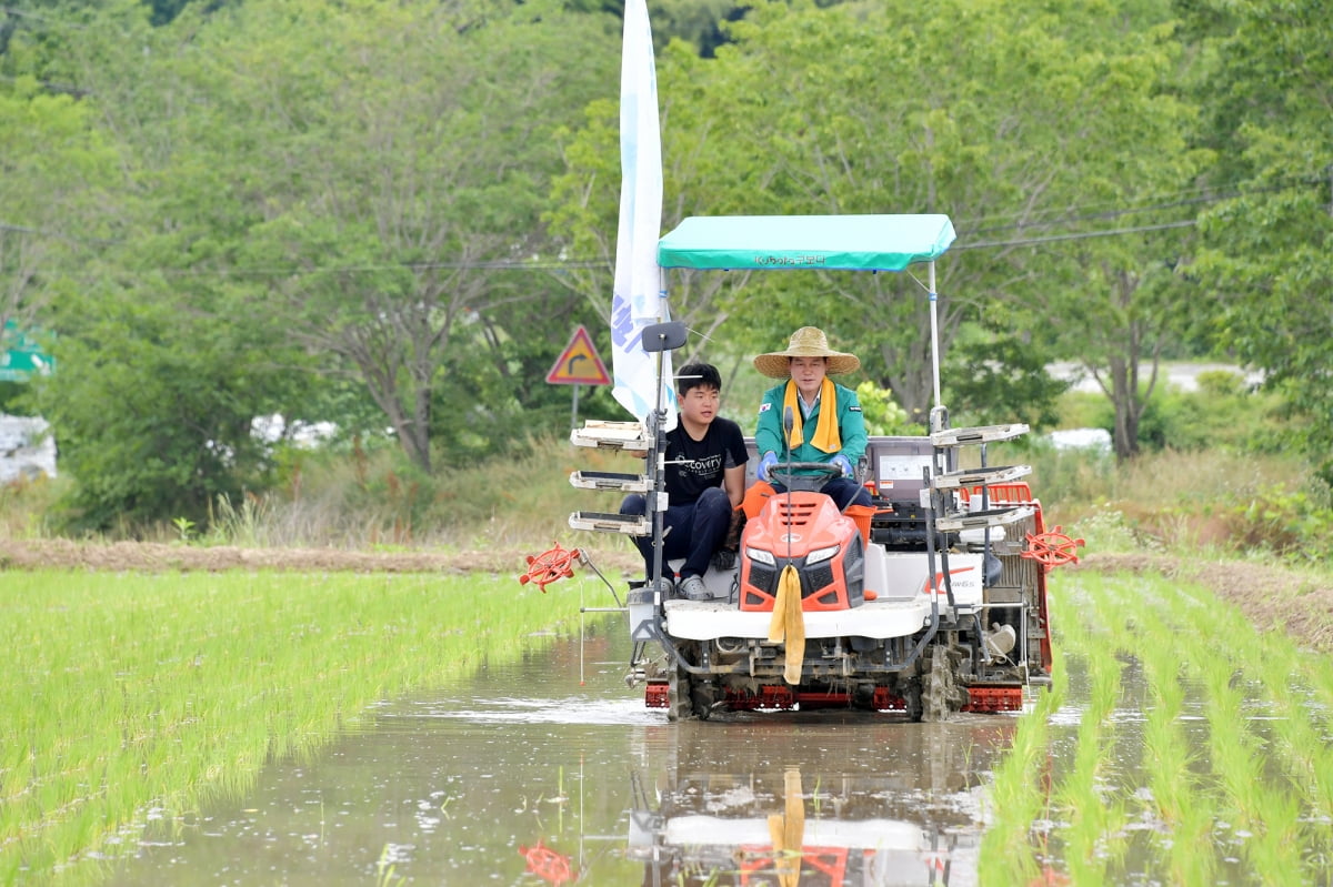 지난달 19일 충븍 담양군 월산면에서 열린 '2025 통일 쌀 모내기 행사'에서 직접 모를 심는 모습. 담양군 제공